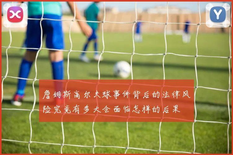 詹姆斯高尔夫球事件背后的法律风险究竟有多大会面临怎样的后果