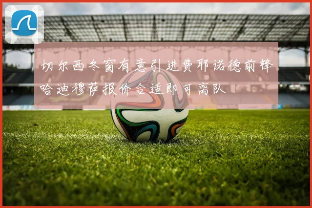 切尔西冬窗有意引进费耶诺德前锋哈迪穆萨报价合适即可离队