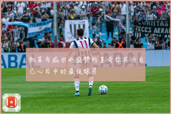 凯莱布威尔逊盛赞约基奇称其为自己心目中的最佳球员